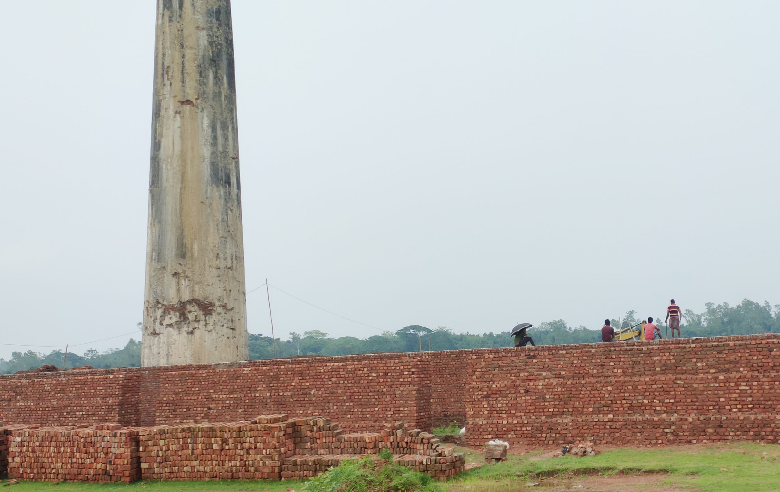 পলাশবাড়ীতে অবৈধভাবে গড়ে উঠছে ইটভাটা ; হুমকিতে পড়বে পরিবেশ