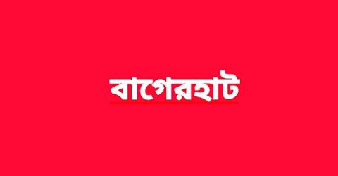 রামপাল তাপবিদ্যুৎ কেন্দ্রে চুরি, আটক ৩