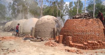 গোবিন্দগঞ্জে অবাধে কাঠ পুড়িয়ে তৈরি করা হচ্ছে কয়লা; হুমকিতে পরিবেশ