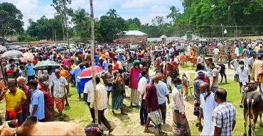 বিধিনিষেধ না মানায় পশুরহাট ভেঙে দিয়েছে প্রশাসন