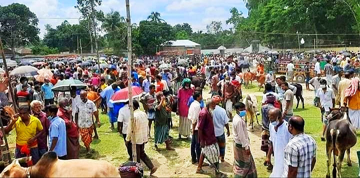 বিধিনিষেধ না মানায় পশুরহাট ভেঙে দিয়েছে প্রশাসন