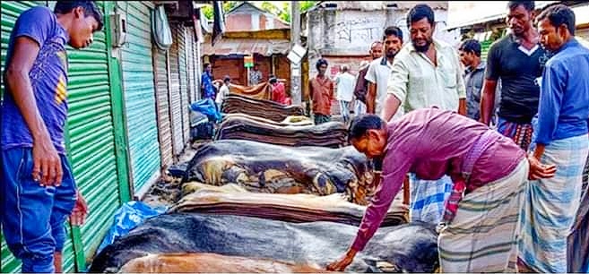 পলাশবাড়ী হাটে চামড়ার আমদানি ও ক্রেতা থাকলেও দাম কম, বিপাকে বিক্রেতারা