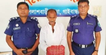 পলাশবাড়ীতে গাঁজা সহ মাদক ব্যবসায়ী গ্রেপ্তার