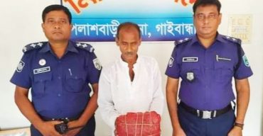 পলাশবাড়ীতে গাঁজা সহ মাদক ব্যবসায়ী গ্রেপ্তার