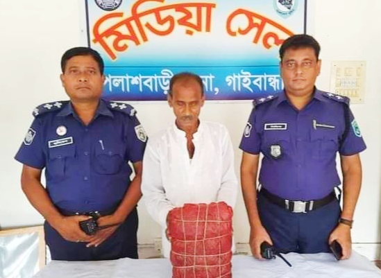 পলাশবাড়ীতে গাঁজা সহ মাদক ব্যবসায়ী গ্রেপ্তার