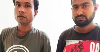 গোবিন্দগঞ্জে পাঁচটি গাঁজা গাছ সহ দুই ভাই আটক