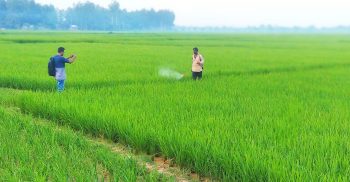 সাহেবগঞ্জ ইক্ষুখামারের জমি নিয়ে সাঁওতালদের দাবির সত্যতা মিলেছে
