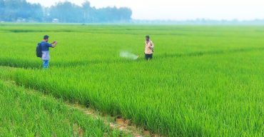 সাহেবগঞ্জ ইক্ষুখামারের জমি নিয়ে সাঁওতালদের দাবির সত্যতা মিলেছে