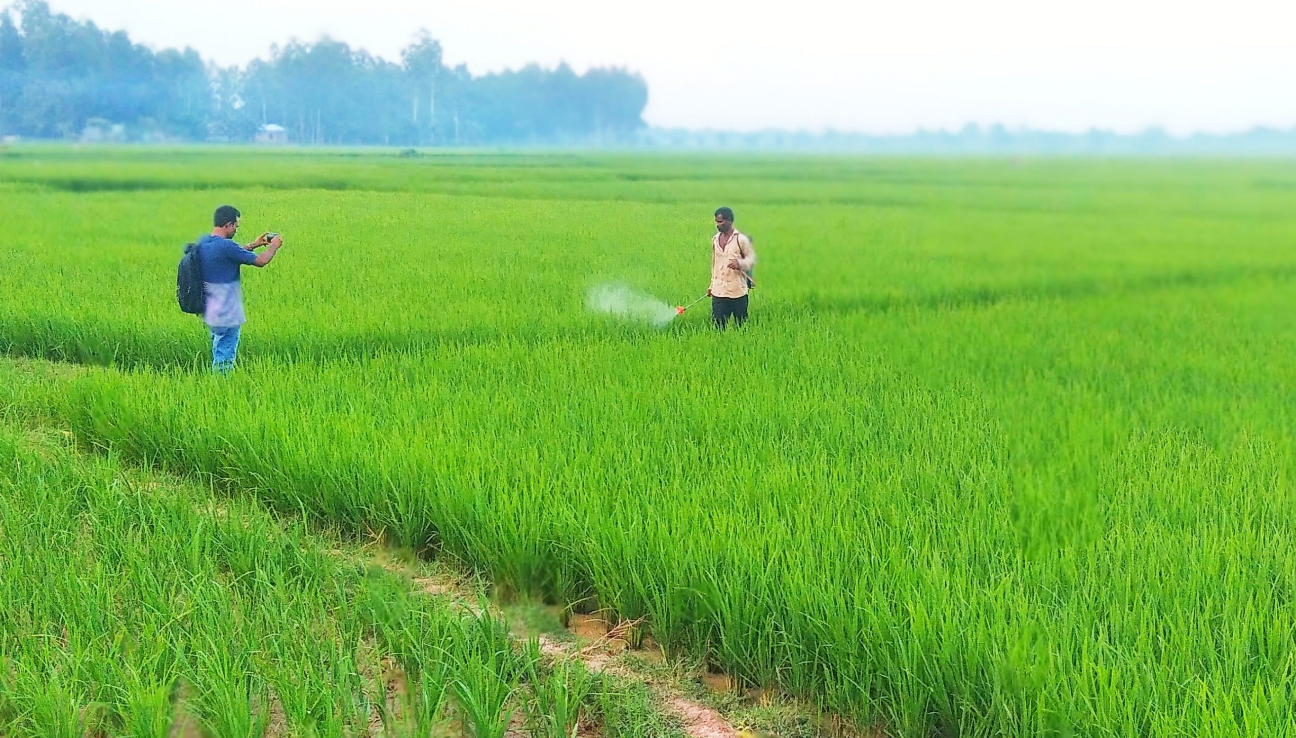 সাহেবগঞ্জ ইক্ষুখামারের জমি নিয়ে সাঁওতালদের দাবির সত্যতা মিলেছে