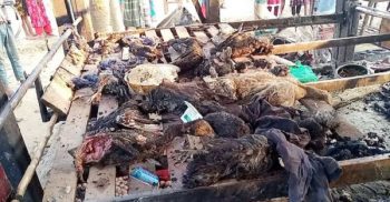 গোবিন্দগঞ্জে আগুনে পুড়ে গৃহবধূর মৃত্যু