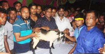 পলাশবাড়ীতে অনুষ্ঠিত হলো নৌকা বাইচ প্রতিযোগিতা