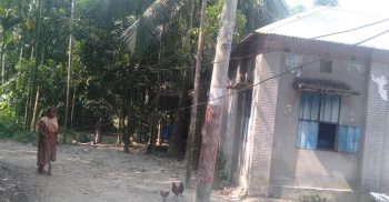 পলাশবাড়ী দীর্ঘদিন ধরে তিন গ্রামের হাজারো মানুষের জনদুর্ভোগ