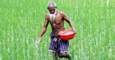 গাইবান্ধায় সংকট দেখিয়ে বেশি দামে বিক্রি হচ্ছে সার