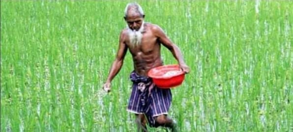 গাইবান্ধায় সংকট দেখিয়ে বেশি দামে বিক্রি হচ্ছে সার