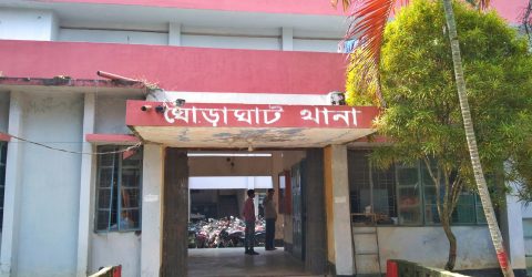 ঘোড়াঘাটে গাঁজা সহ মাদক ব্যবসায়ী আটক