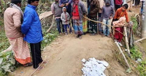 নাটোরের সিংড়ায় ইউপি নির্বাচনের ৯ দিন পর সিল মারা ব্যালট পেপার উদ্ধার