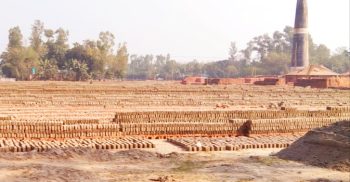 গোবিন্দগঞ্জে অবৈধ ইটভাটা; পরিবেশ ও কৃষিতে বিপর্যয়ের আশঙ্কা