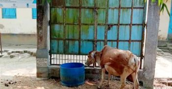 পলাশবাড়ীতে পরিবার পরিকল্পনা কেন্দ্রে চিকিৎসা সেবা থেকে বঞ্চিত মানুষ