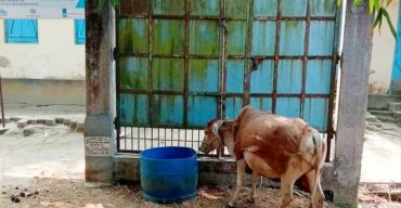 পলাশবাড়ীতে পরিবার পরিকল্পনা কেন্দ্রে চিকিৎসা সেবা থেকে বঞ্চিত মানুষ