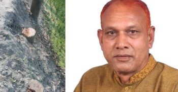 গাইবান্ধায় সরকারি গাছকাটায় ইউপি চেয়ারম্যানের বিরুদ্ধে মামলা