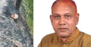 গাইবান্ধায় সরকারি গাছকাটায় ইউপি চেয়ারম্যানের বিরুদ্ধে মামলা