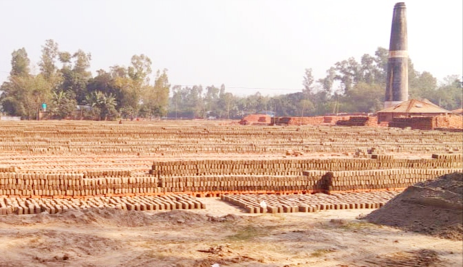 গোবিন্দগঞ্জে অবৈধ ইটভাটার ধোঁয়া, পরিবেশ ও কৃষিতে বিপর্যয়ের আশঙ্কা