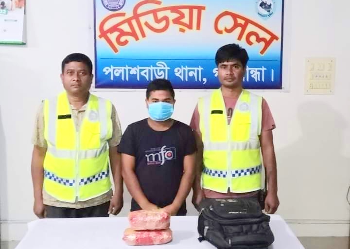 পলাশবাড়ীতে গাঁজাসহ মাদক কারবারি গ্রেপ্তার