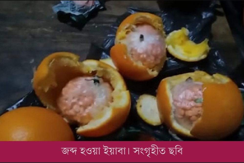 মাল্টার ভেতরে ইয়াবা; ব্যবসায়ীব গ্রেপ্তার