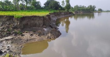 করতোয়া নদীতে তীব্র ভাংগনে হুমকীতে বসতবাড়ী-আবাদি জমি