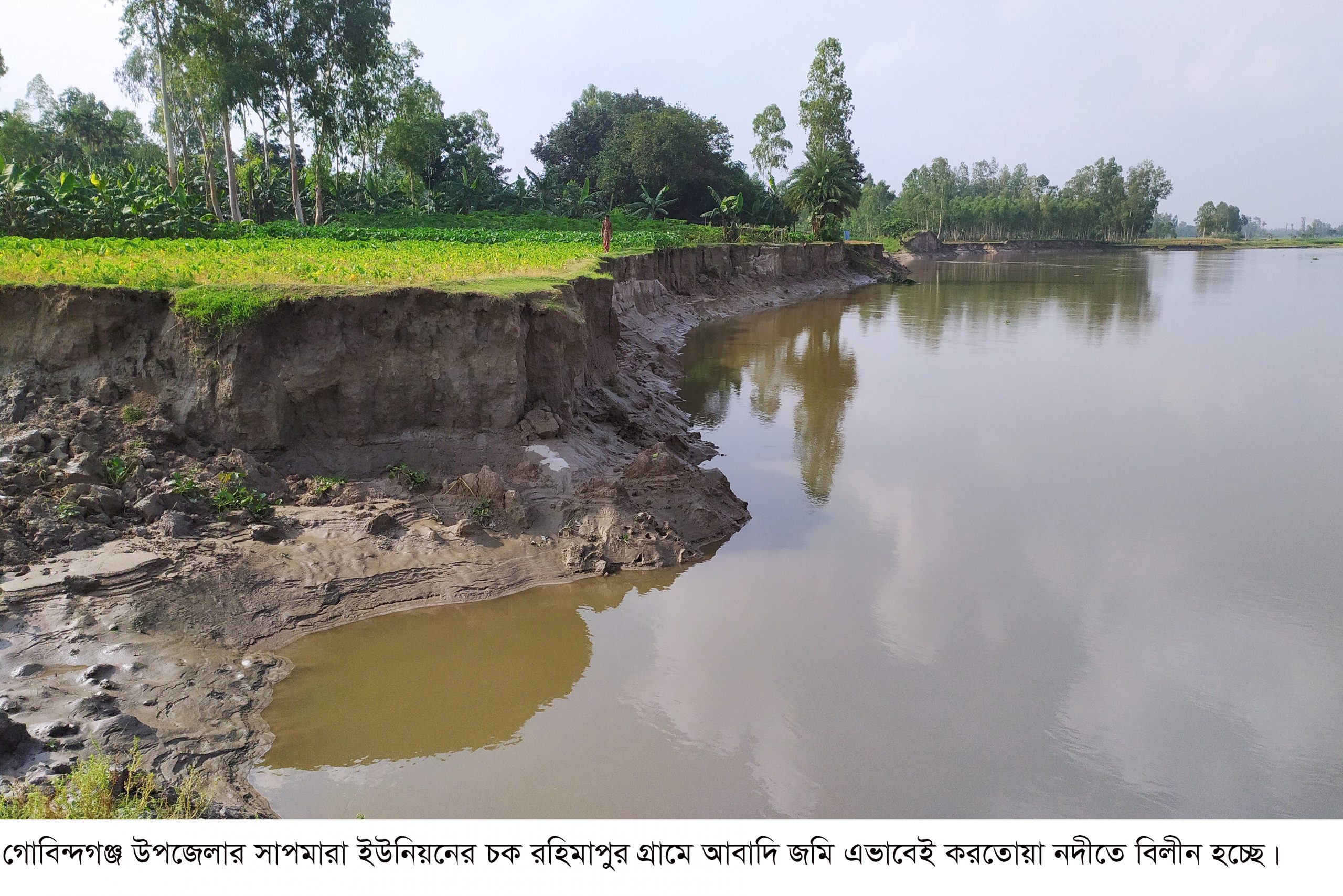 করতোয়া নদীতে তীব্র ভাংগনে হুমকীতে বসতবাড়ী-আবাদি জমি