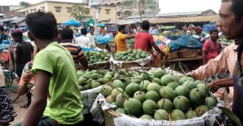 কানসাট বাজারে প্রতিদিন বিক্রি হচ্ছে ৩৫ কোটি টাকার আম