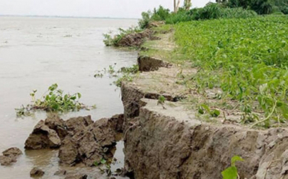 গাইবান্ধা ভাংগন আতঙ্কে নদীর পাড়ের মানুষ