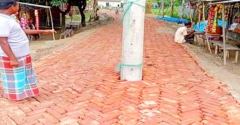 খুঁটির জোর!