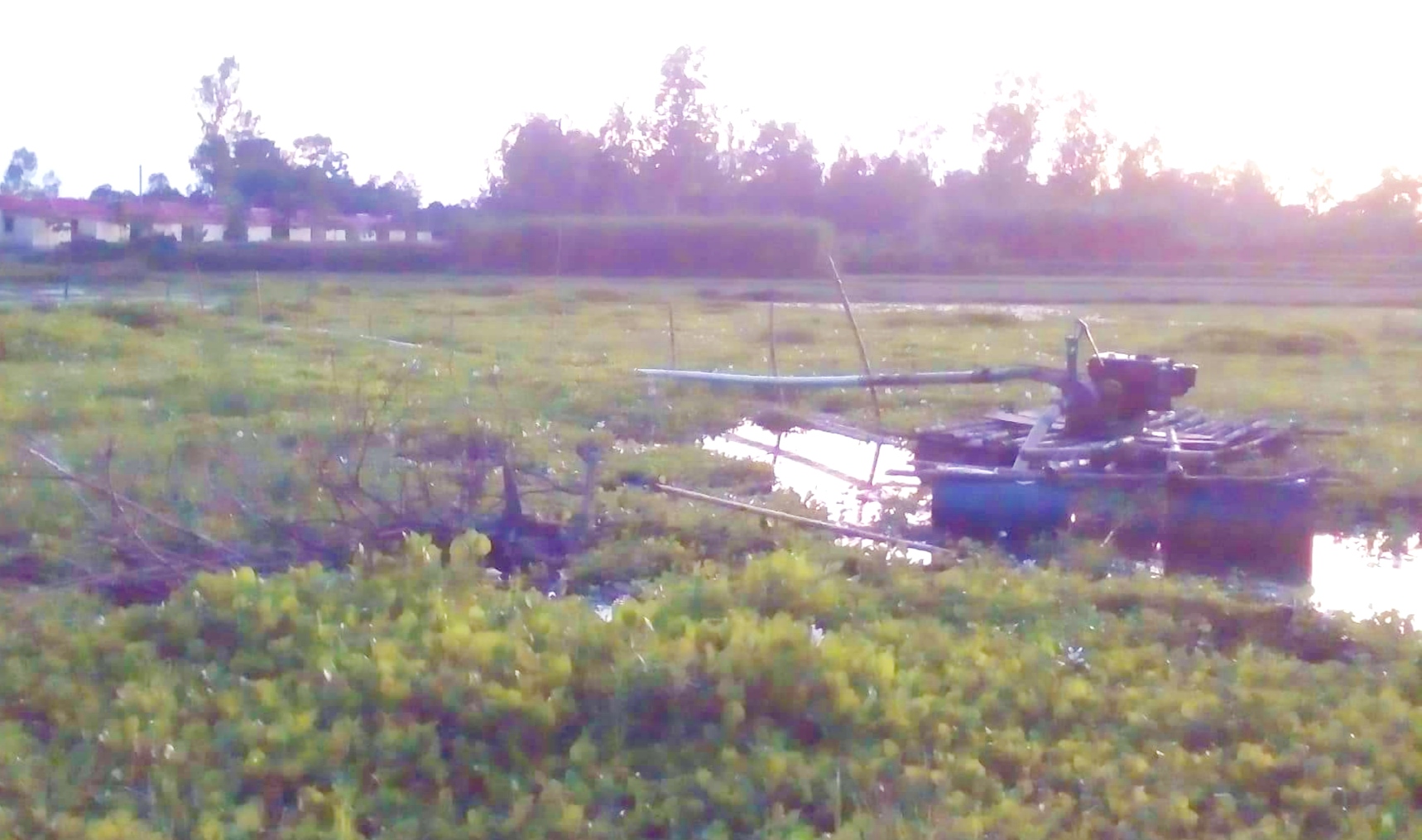 পলাশবাড়ীতে খাস জমি থেকে অবৈধভাবে বালু উত্তোলন