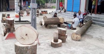 দিনাজপুরে খাইট্টা কেনায় হিড়িক, প্রতি কেজি ২৫ টাকায় বিক্রি