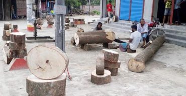 দিনাজপুরে খাইট্টা কেনায় হিড়িক, প্রতি কেজি ২৫ টাকায় বিক্রি