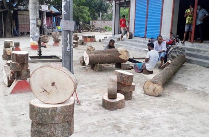 দিনাজপুরে খাইট্টা কেনায় হিড়িক, প্রতি কেজি ২৫ টাকায় বিক্রি