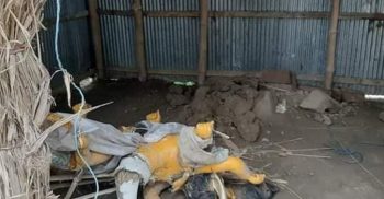 গোবিন্দগঞ্জে প্রতিমা ভাংচুর, যুবক গ্রেপ্তার