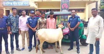বানিয়াচংয়ে গরু সহ আটক দুই চোর