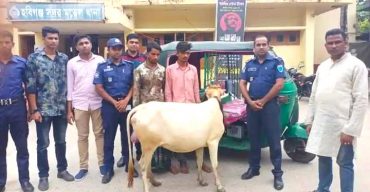বানিয়াচংয়ে গরু সহ আটক দুই চোর
