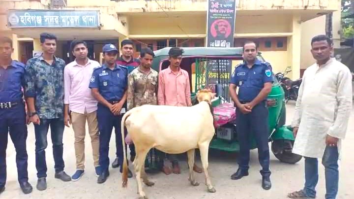বানিয়াচংয়ে গরু সহ আটক দুই চোর