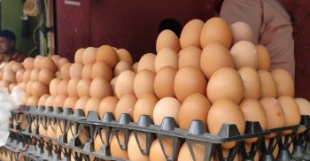 গাইবান্ধায় ডিমের হালি ৪৫ টাকা