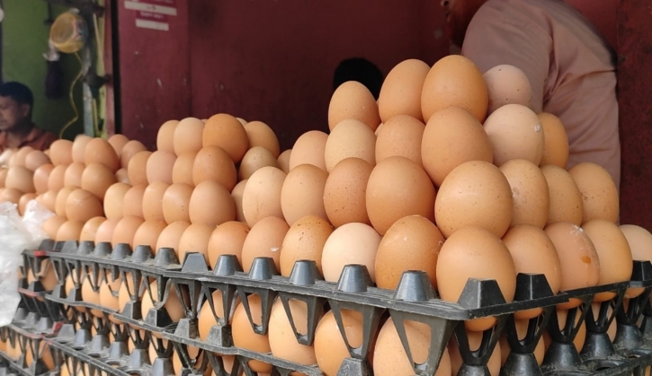 গাইবান্ধায় ডিমের হালি ৪৫ টাকা