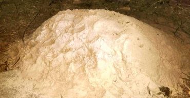 অবৈধ বালু উত্তোলন বন্ধে অভিযান চলবে- এসিল্যান্ড