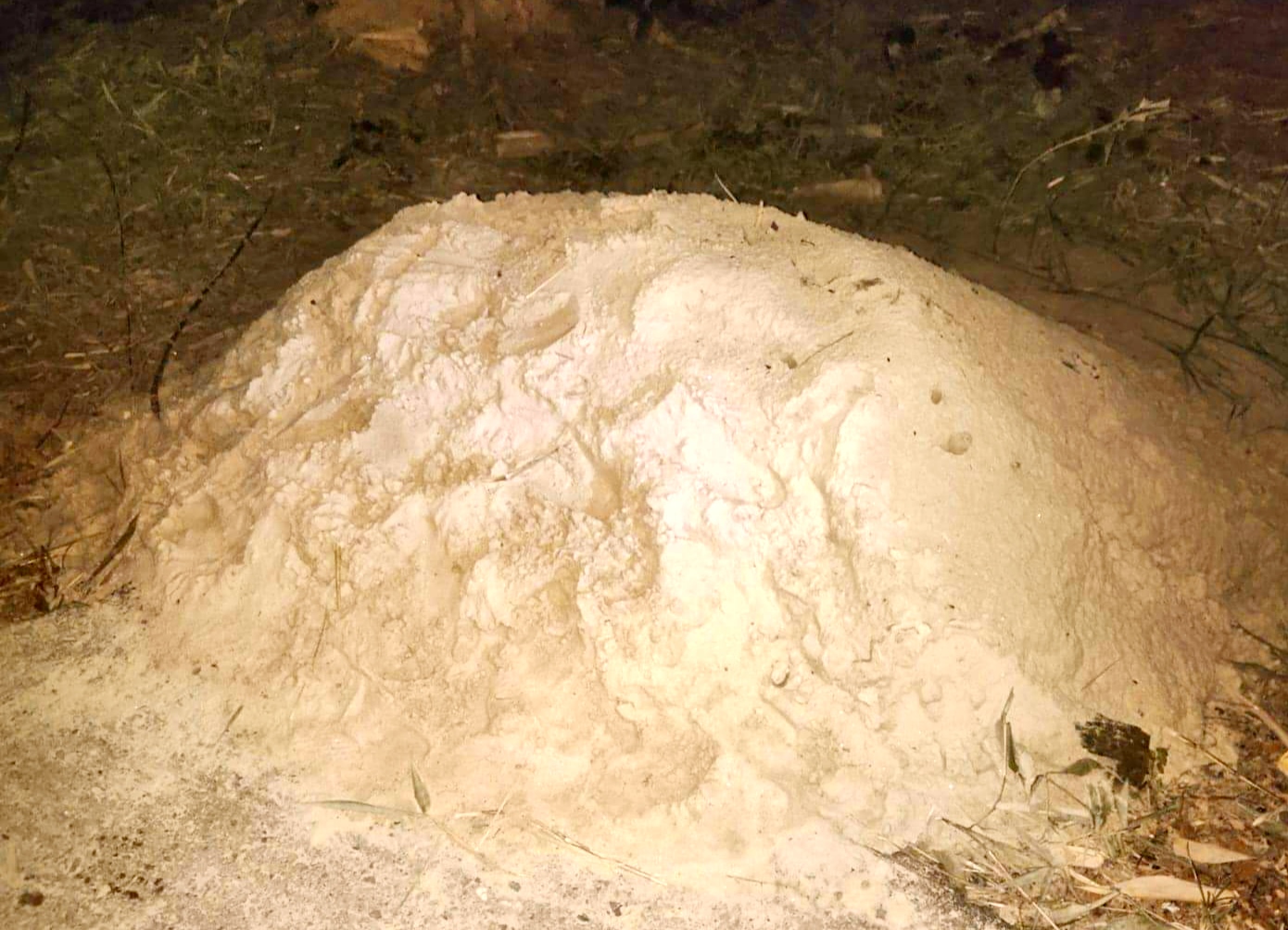 অবৈধ বালু উত্তোলন বন্ধে অভিযান চলবে- এসিল্যান্ড