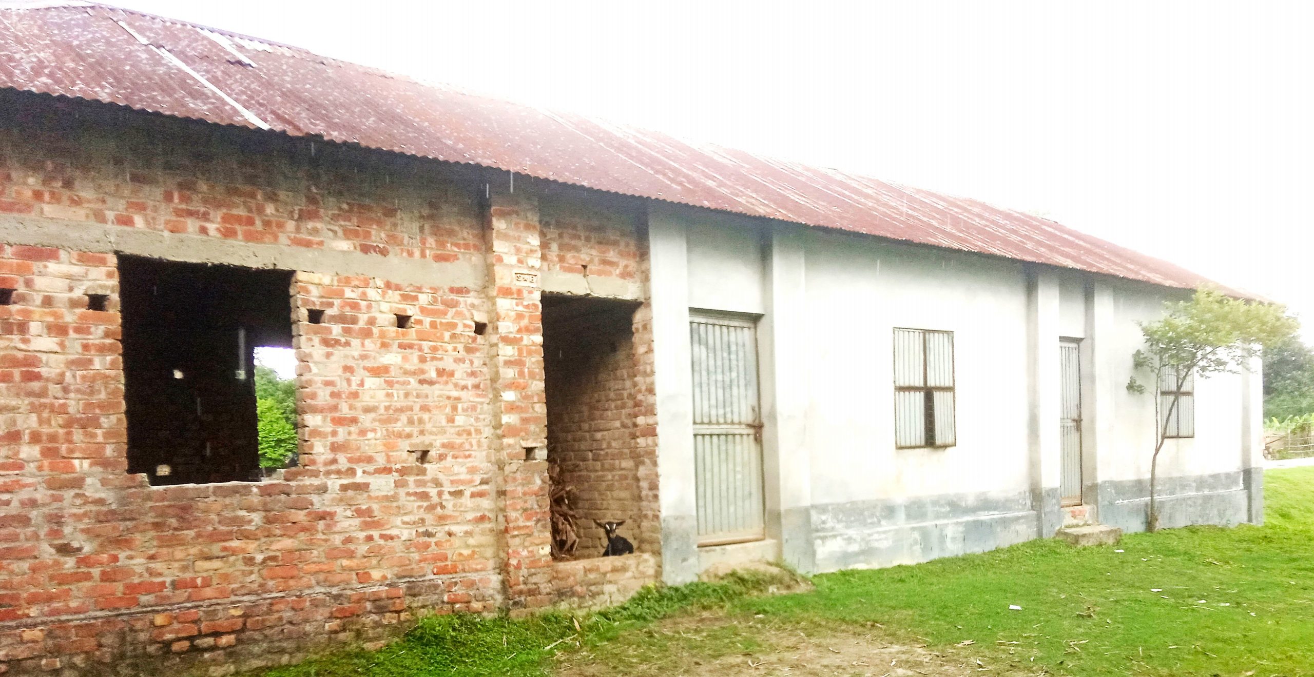 পলাশবাড়ীর শালমারা স্বতন্ত্র ইবতেদায়ী মাদ্রাসাটির ব্যাপক অনিয়ম