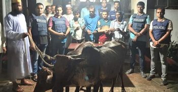 বানিয়াচং আন্তজেলা গরুসহ চোর চক্রের চার সদস্য গ্রেপ্তার