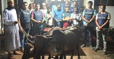 বানিয়াচং আন্তজেলা গরুসহ চোর চক্রের চার সদস্য গ্রেপ্তার