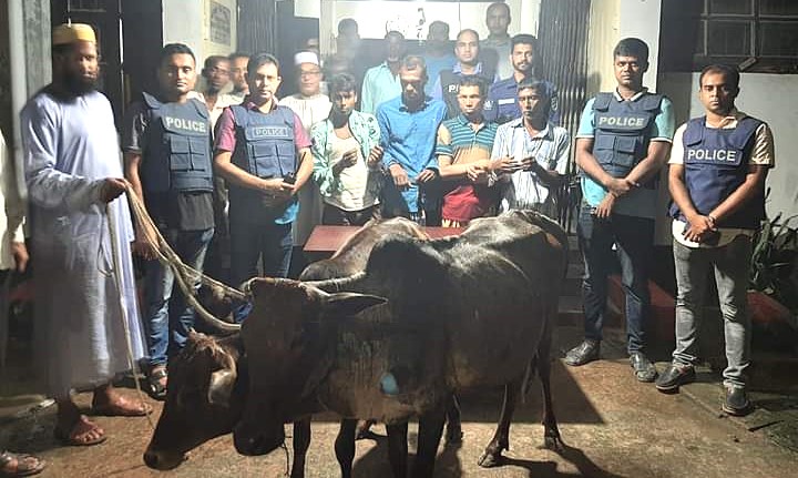 বানিয়াচং আন্তজেলা গরুসহ চোর চক্রের চার সদস্য গ্রেপ্তার