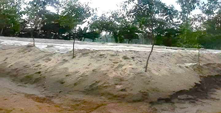 পলাশবাড়ীতে অবৈধভাবে বালু উত্তোলন থেমে নেই